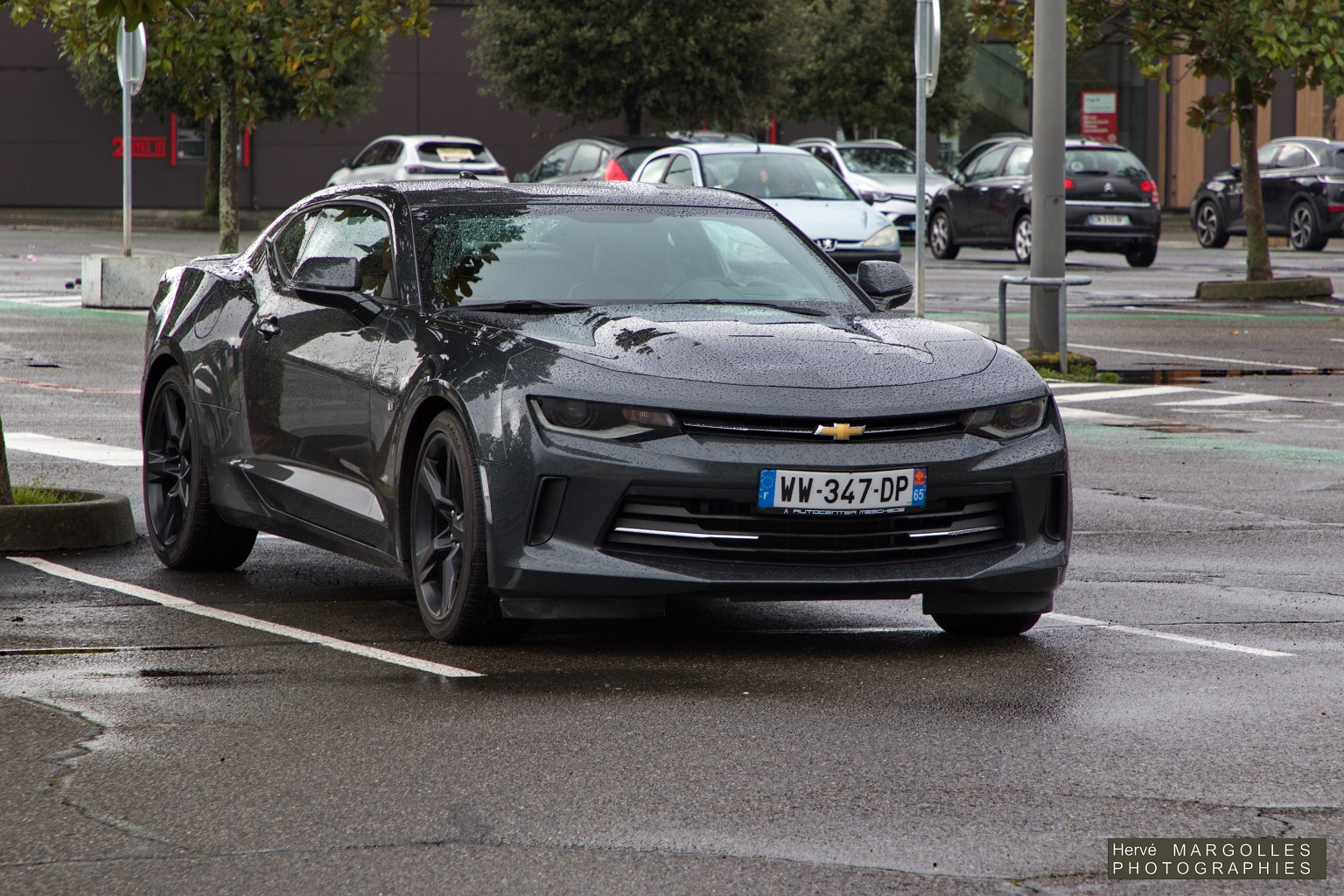 Chevrolet Camaro.jpg